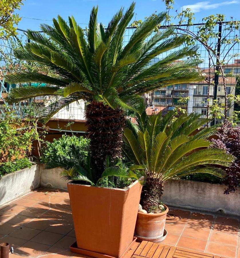 Il Giardino Sospeso Di Anna Apartamento